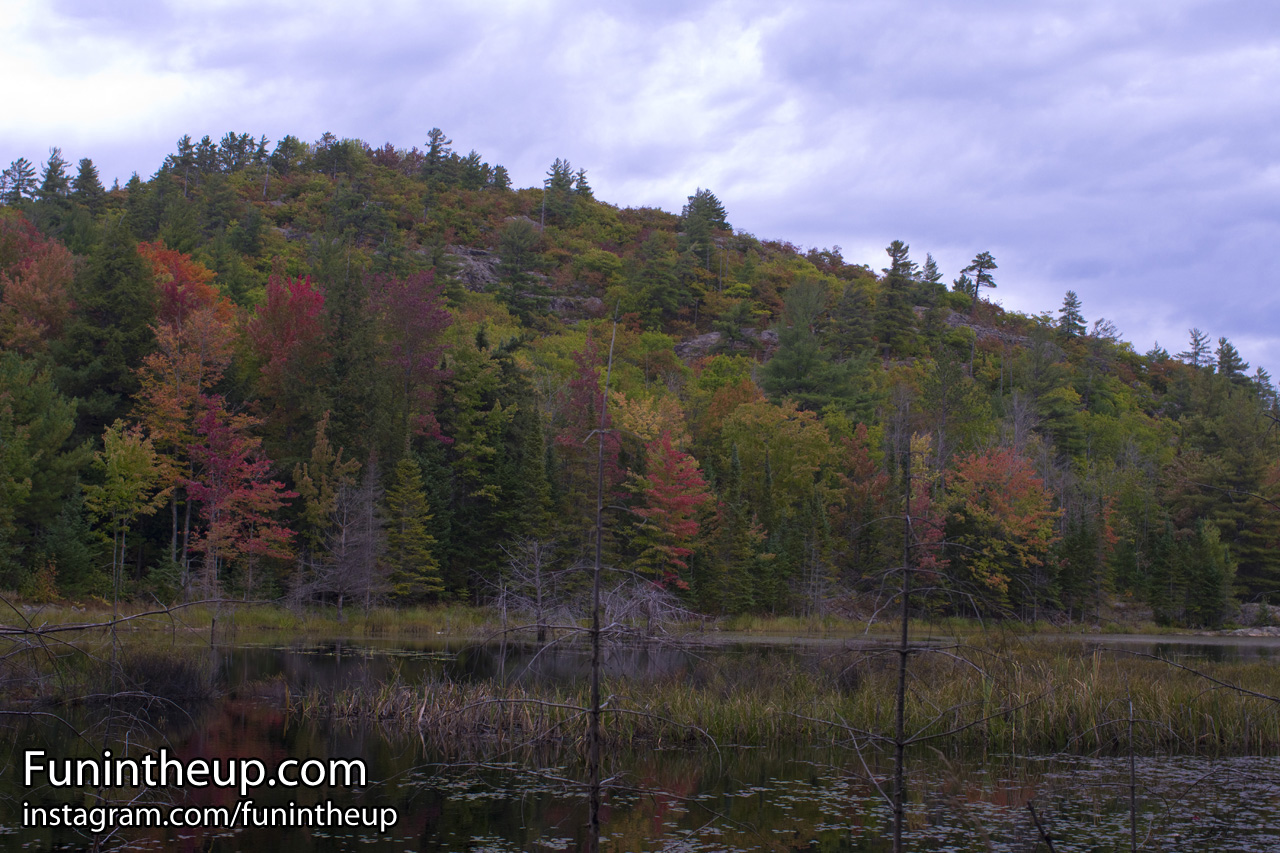 Looking at Bald Mountain from the pond below.