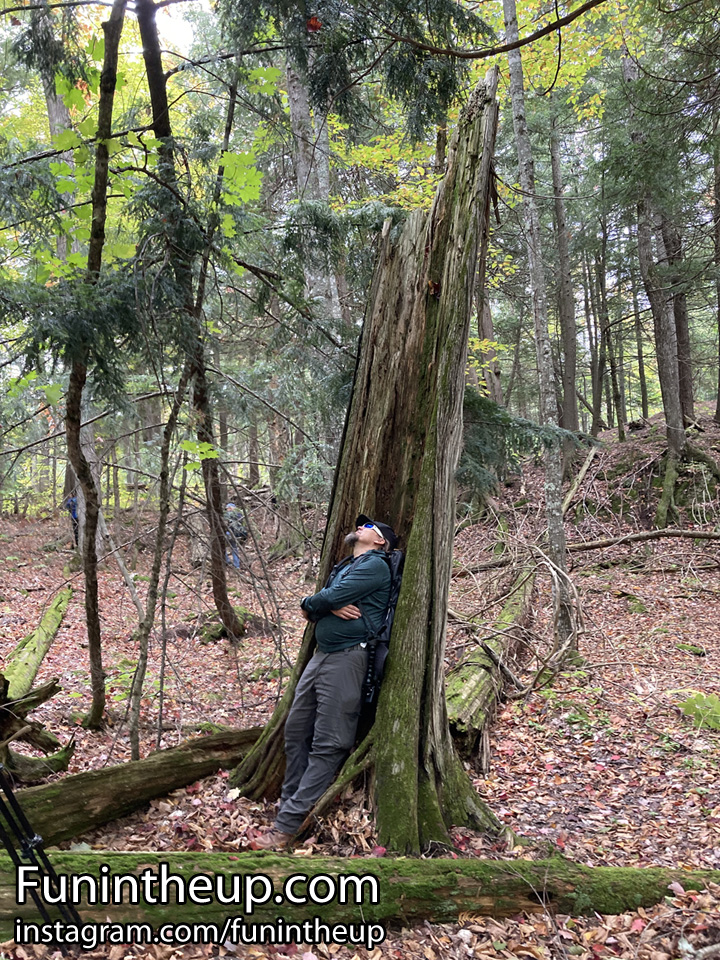 Yooper Steve taking a nap on a dead tree, pretty comfy.